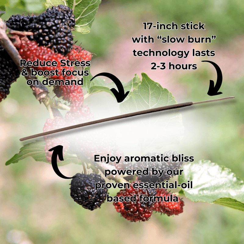 Mulberry Long Incense Sticks Best Sales Price - Smoke Odor Eliminators