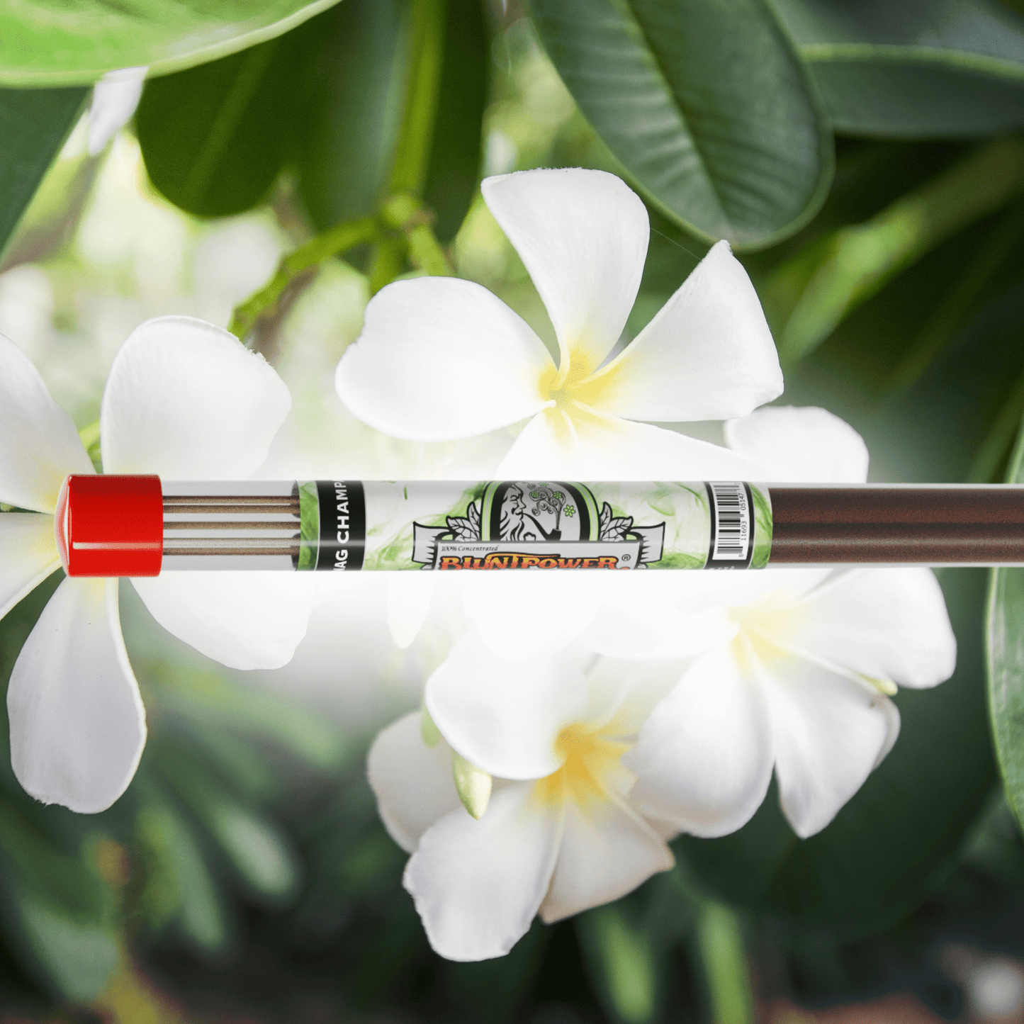 Nag Champa Long Incense Sticks Best Sales Price - Smoke Odor Eliminators