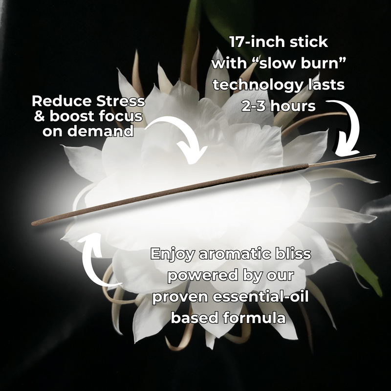 Night Queen Long Incense Sticks Best Sales Price - Smoke Odor Eliminators