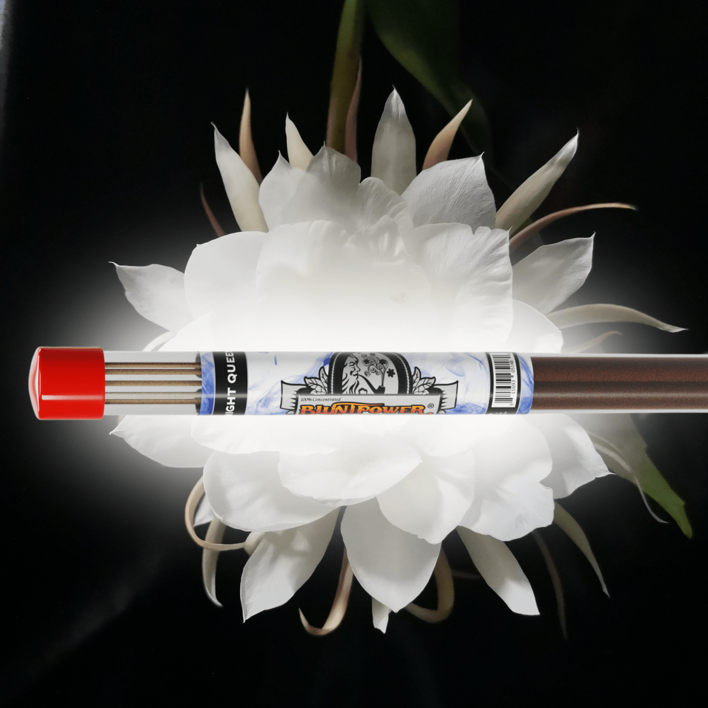 Night Queen Long Incense Sticks Best Sales Price - Smoke Odor Eliminators