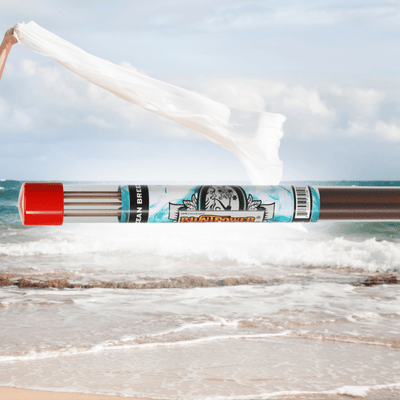 Ocean Breeze Long Incense Sticks Best Sales Price - Smoke Odor Eliminators