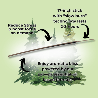 Pine Air Long Incense Sticks Best Sales Price - Smoke Odor Eliminators