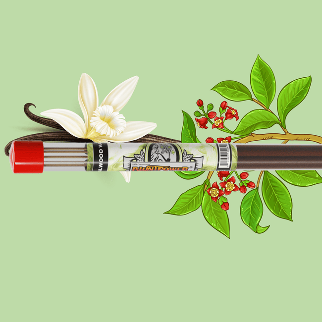 Sandalwood & Vanilla Long Incense Sticks Best Sales Price - Smoke Odor Eliminators