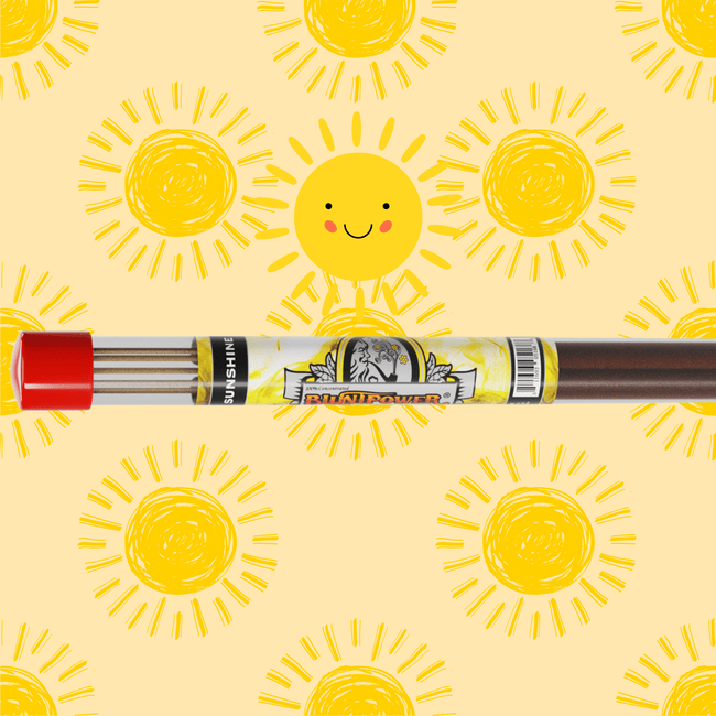 Sunshine Long Incense Sticks