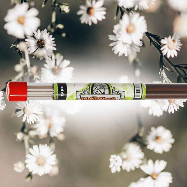 Zapp Long Incense Sticks