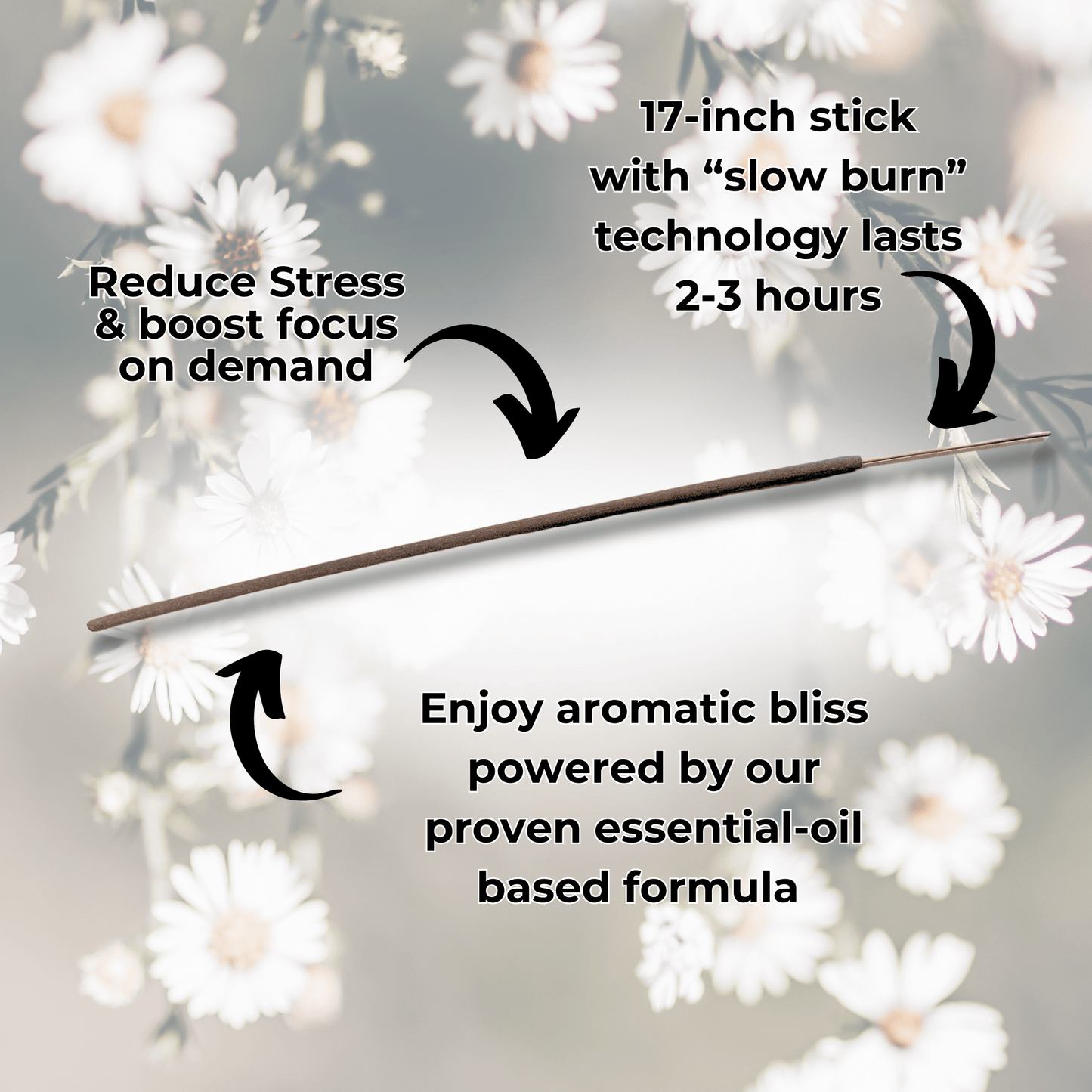 Zapp Long Incense Sticks Best Sales Price - Smoke Odor Eliminators
