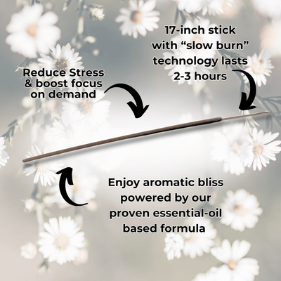 Zapp Long Incense Sticks Best Sales Price - Smoke Odor Eliminators