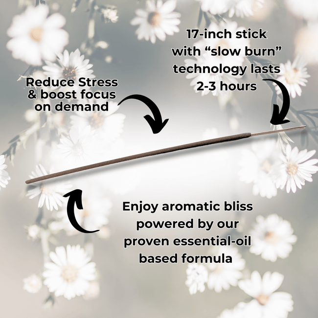 Zapp Long Incense Sticks