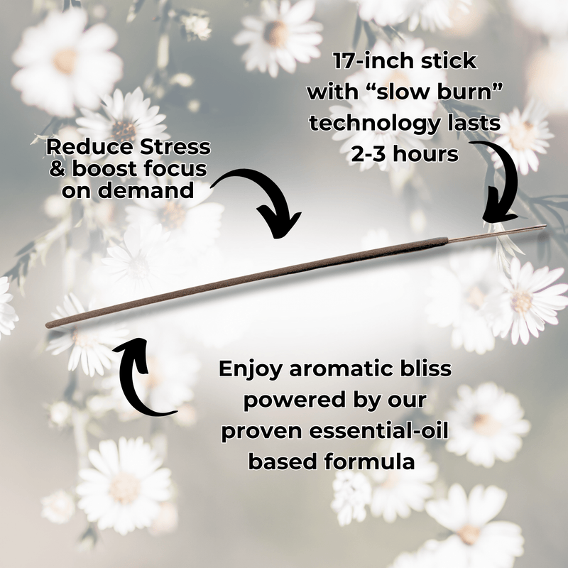 Zapp Long Incense Sticks Best Sales Price - Smoke Odor Eliminators