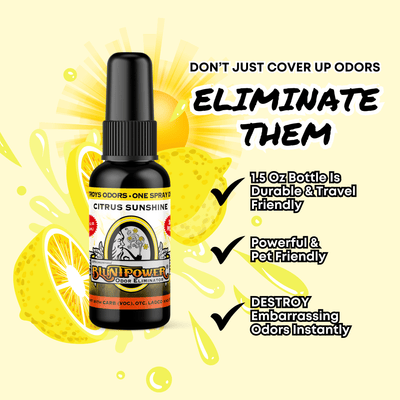 Citrus Sunshine Odor Eliminator Spray Best Sales Price - Smoke Odor Eliminators