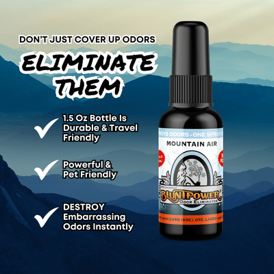 Mountain Air Odor Eliminator Spray Best Sales Price - Smoke Odor Eliminators