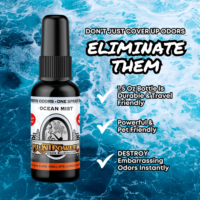 Ocean Mist Odor Eliminator Spray Best Sales Price - Smoke Odor Eliminators
