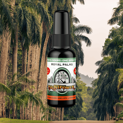 Royal Palms Odor Eliminator Spray Best Sales Price - Smoke Odor Eliminators