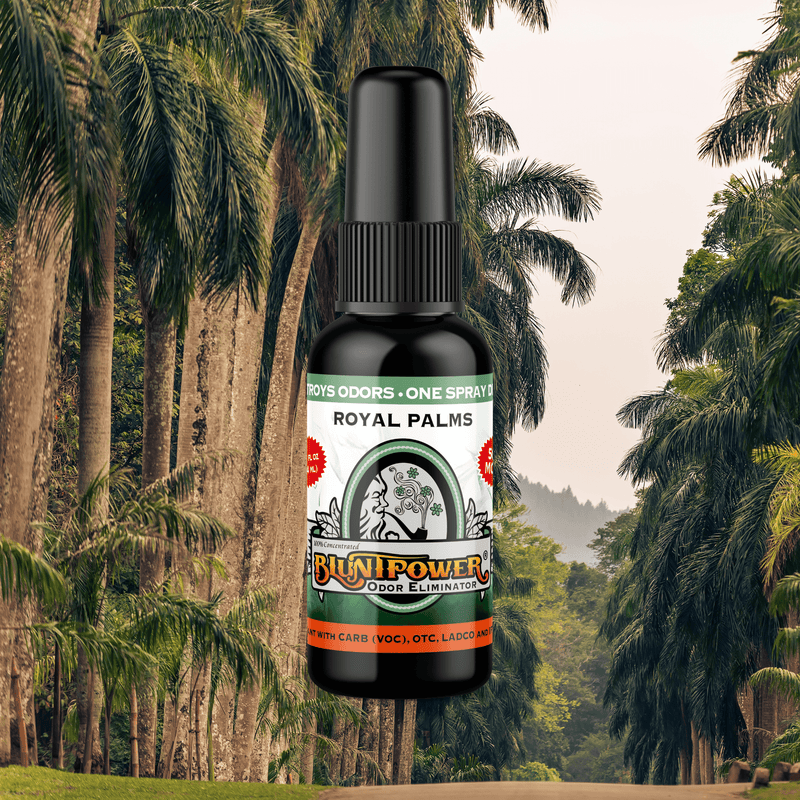 Royal Palms Odor Eliminator Spray Best Sales Price - Smoke Odor Eliminators
