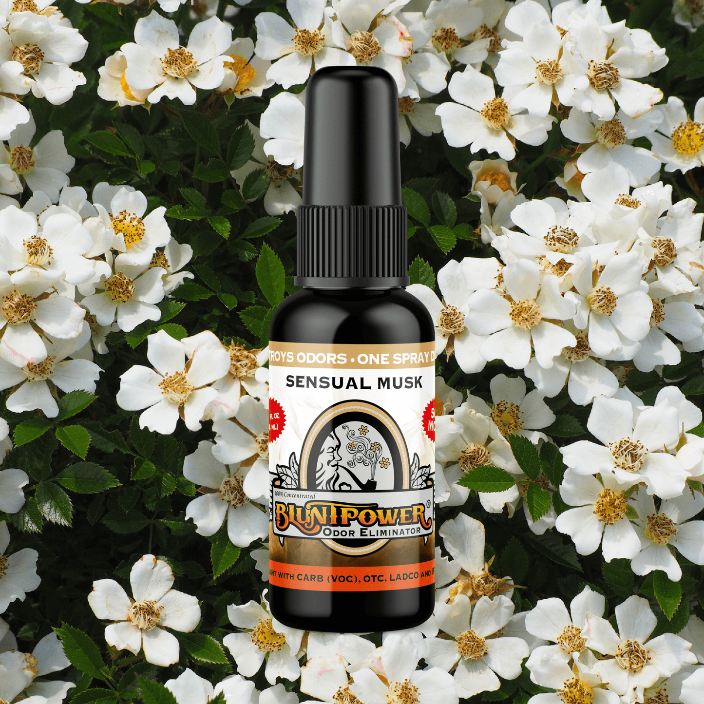 Sensual Musk Odor Eliminator Spray