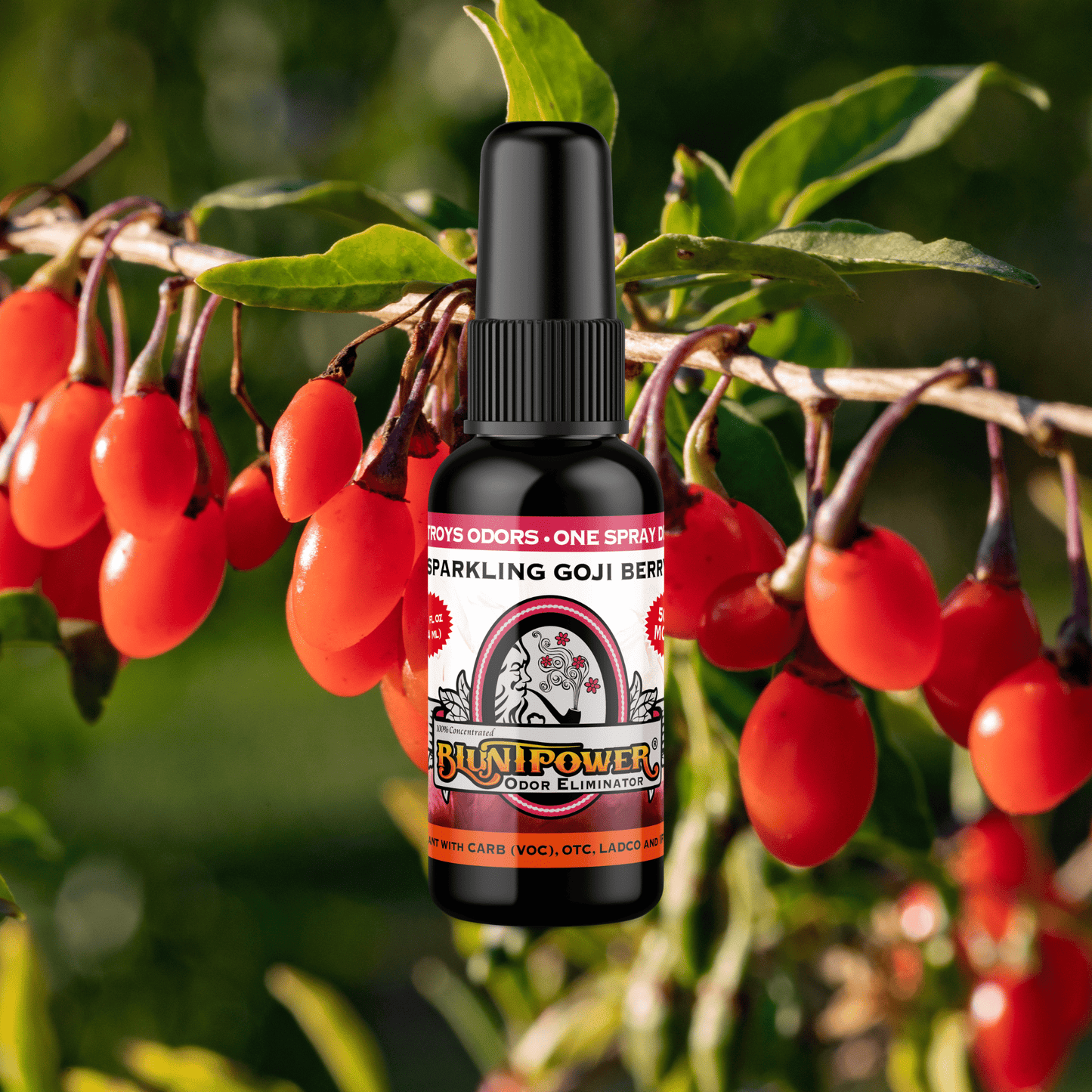 Sparkling Goji Berry Odor Eliminator Spray Best Sales Price - Smoke Odor Eliminators
