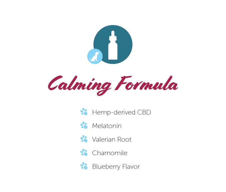 Paw CBD Broad Spectrum CBD Dog Calming Oil Tincture Best Sales Price - Tincture Oil