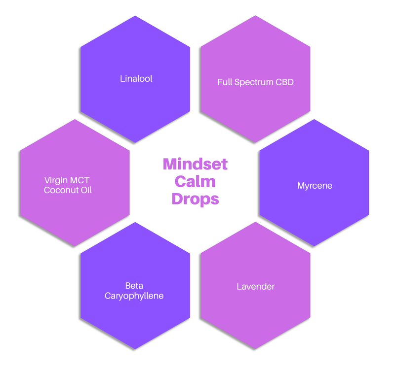 Mindset Calm Drops Best Sales Price - Edibles