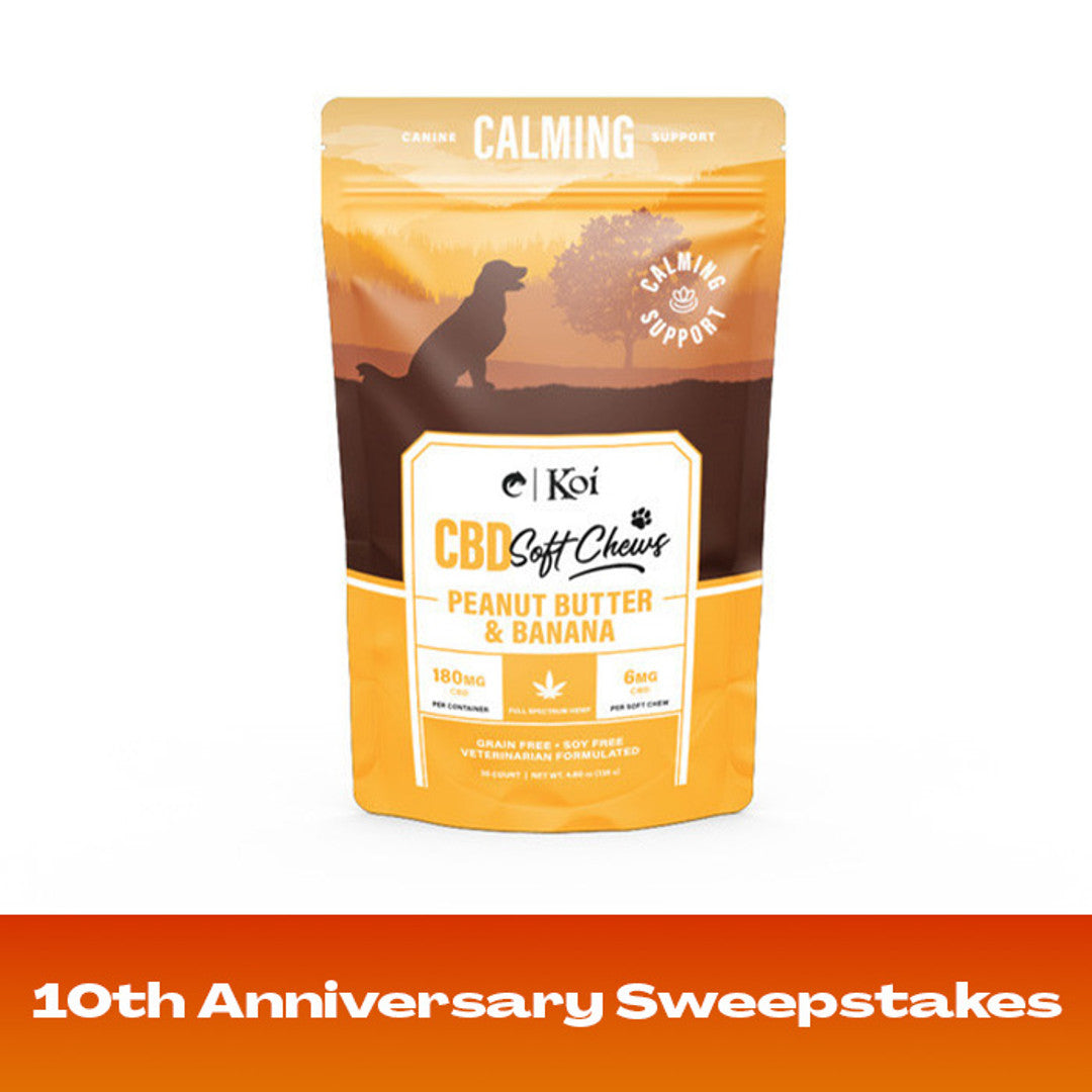 Koi Calming CBD Soft Chews Best Sales Price - Pet CBD