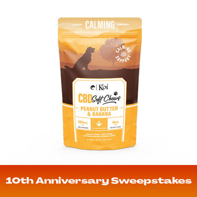 Koi Calming CBD Soft Chews Best Sales Price - Pet CBD