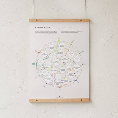 GoldLeaf Cannabinoid Health Matrix Print Best Sales Price - Art Prints