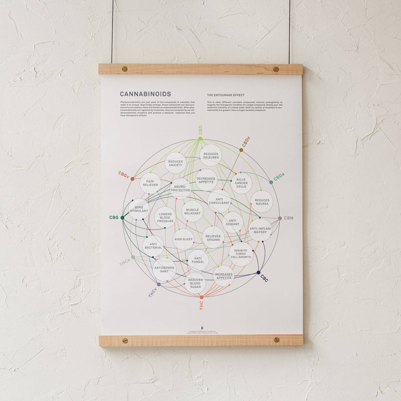 GoldLeaf Cannabinoid Health Matrix Print Best Sales Price - Art Prints