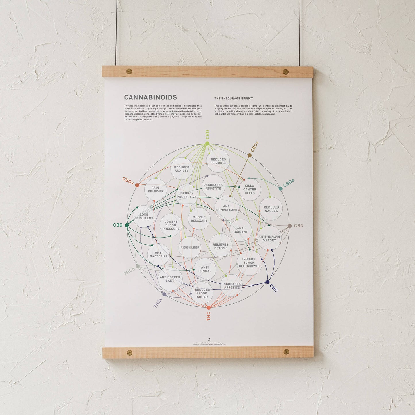 GoldLeaf La Matriz de Salud Cannabinoides Impresíon Best Sales Price - Art Prints