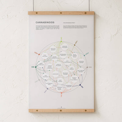 GoldLeaf Cannabinoid Health Matrix Print Best Sales Price - Art Prints