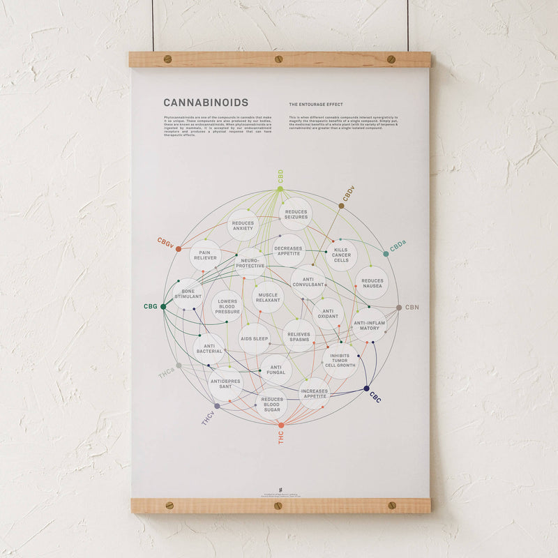 GoldLeaf Cannabinoid Health Matrix Print Best Sales Price - Art Prints