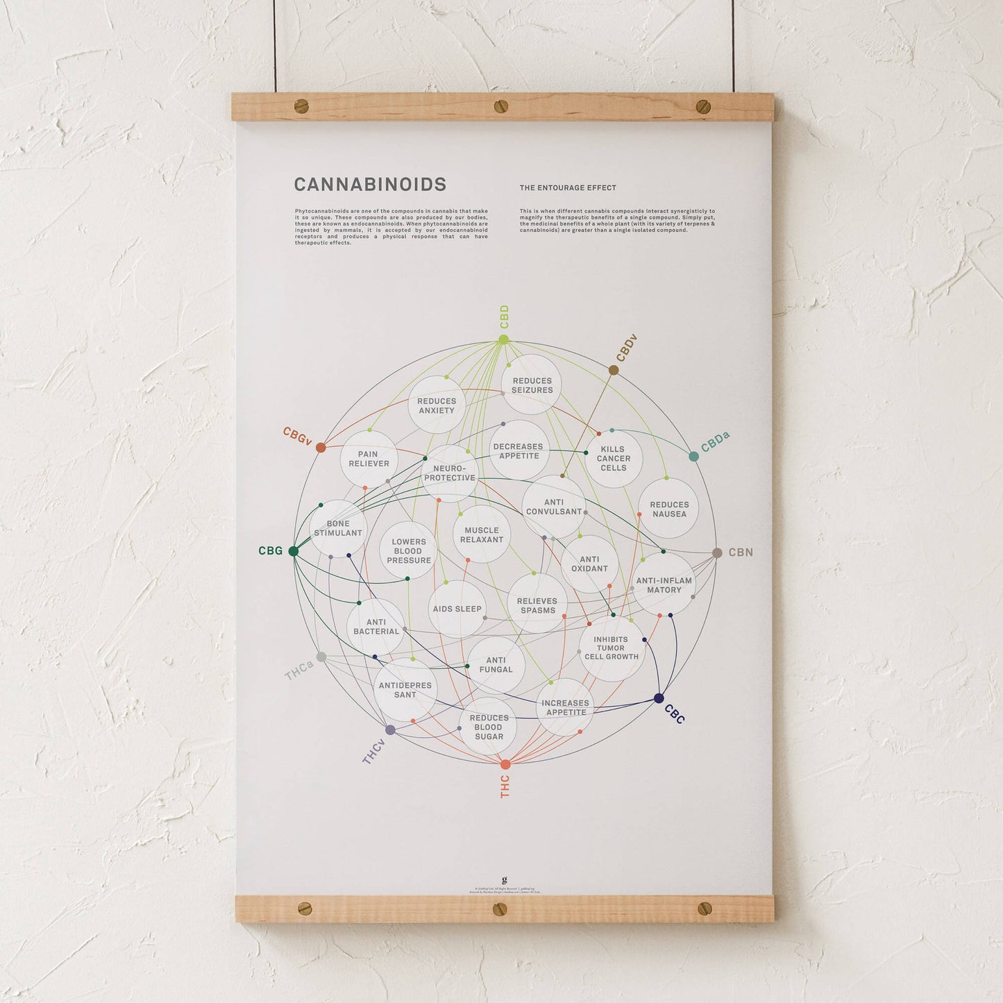 GoldLeaf La Matriz de Salud Cannabinoides Impresíon Best Sales Price - Art Prints