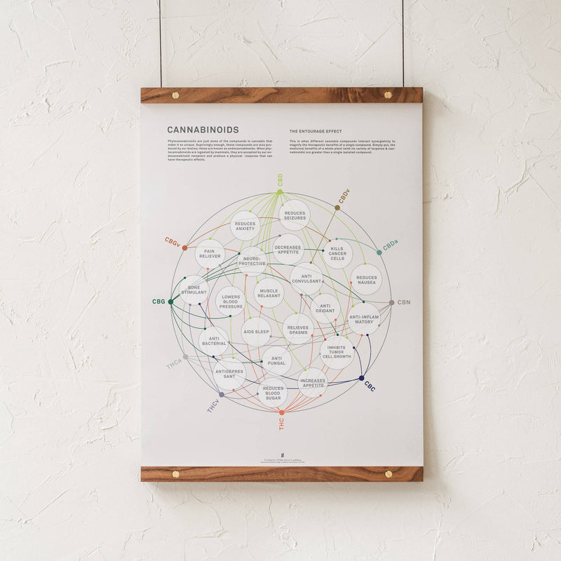 GoldLeaf Cannabinoid Health Matrix Print Best Sales Price - Art Prints