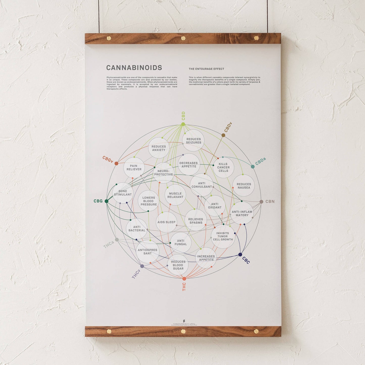 GoldLeaf Cannabinoid Health Matrix Print Best Sales Price - Art Prints