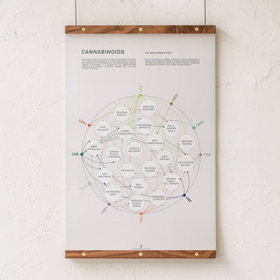 GoldLeaf Cannabinoid Health Matrix Print Best Sales Price - Art Prints