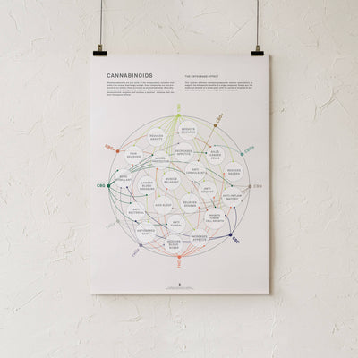 GoldLeaf Cannabinoid Health Matrix Print Best Sales Price - Art Prints