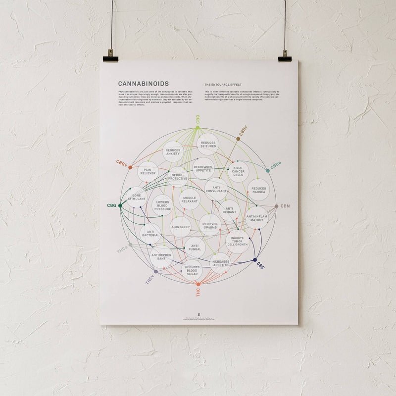 GoldLeaf Cannabinoid Health Matrix Print Best Sales Price - Art Prints