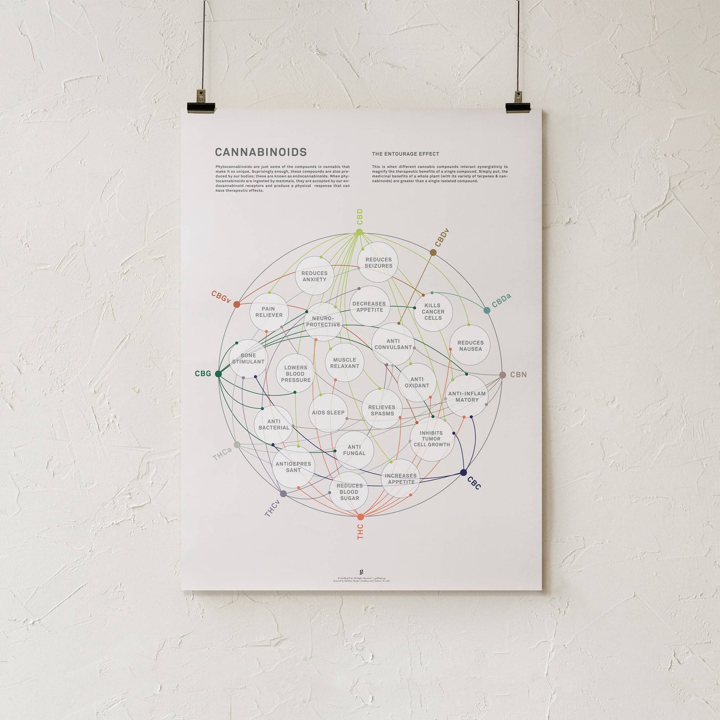 GoldLeaf La Matriz de Salud Cannabinoides Impresíon Best Sales Price - Art Prints