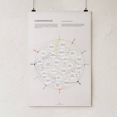 GoldLeaf Cannabinoid Health Matrix Print Best Sales Price - Art Prints