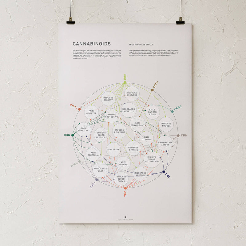 GoldLeaf La Matriz de Salud Cannabinoides Impresíon Best Sales Price - Art Prints