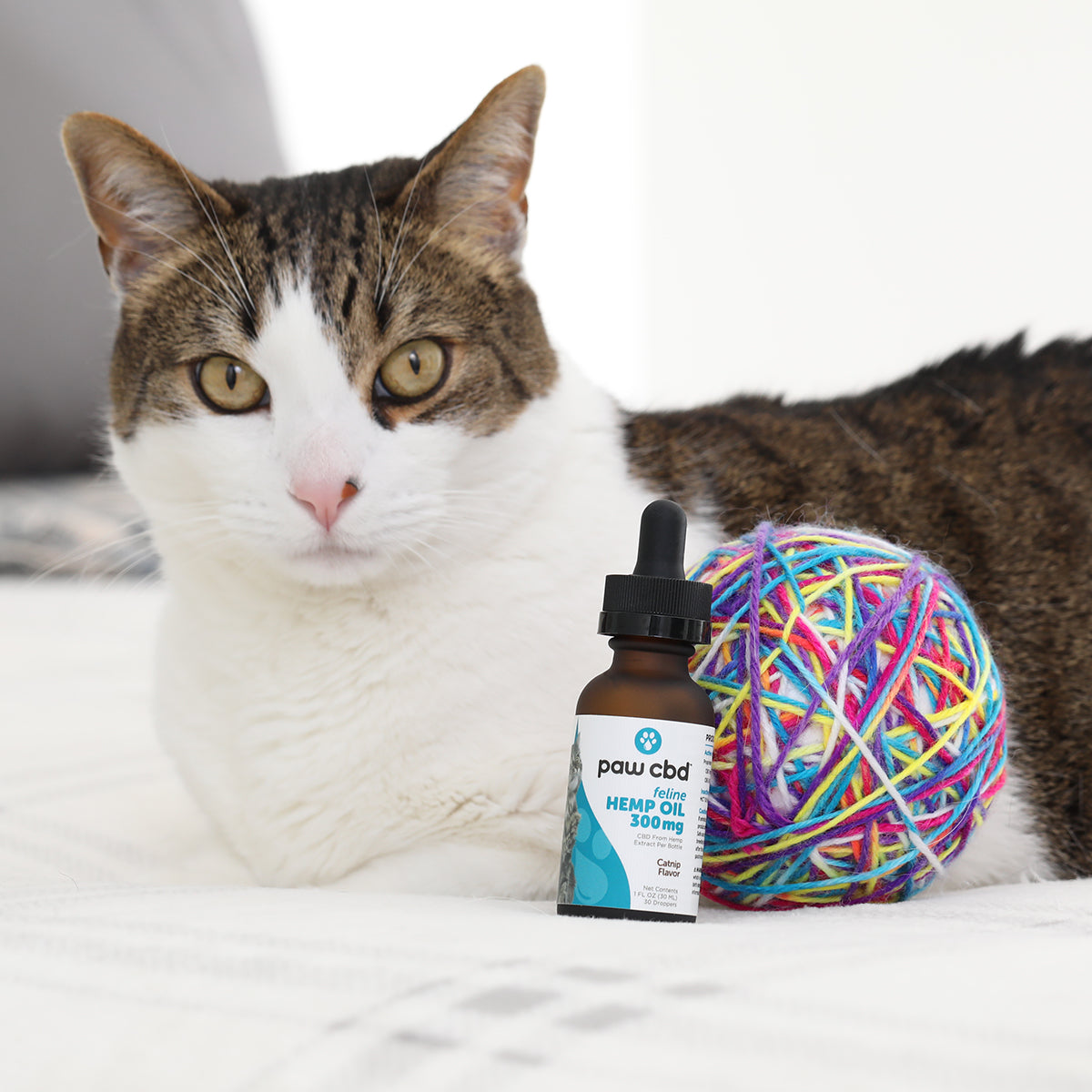 Paw CBD Broad Spectrum CBD Cat Oil Tincture