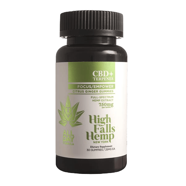 CBD Citrus Ginger Gummies Best Sales Price - Gummies