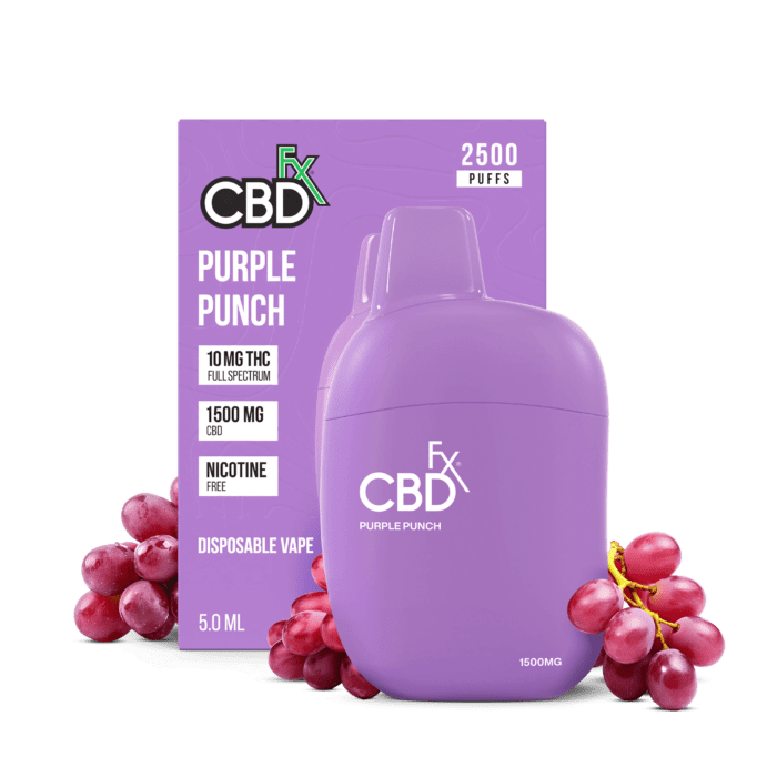 CBDFX THC + CBD Disposable Vape - 5g