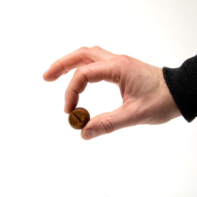 Lazarus Naturals CBD DOG CHEWS, DIGESTIVE HEALTH