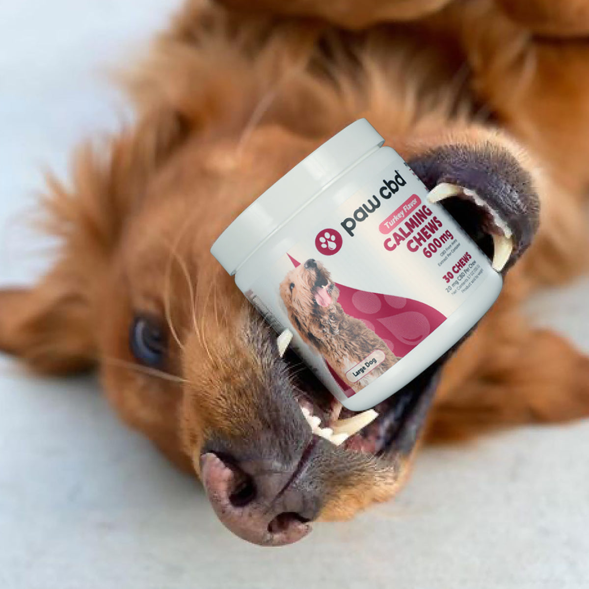 Paw CBD Broad Spectrum CBD Dog Calming Chews Best Sales Price - Pet CBD