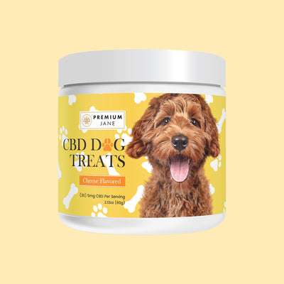 Premium Jane CBD Dog Treats – 150mg (Cheese Flavored) Best Sales Price - Pet CBD