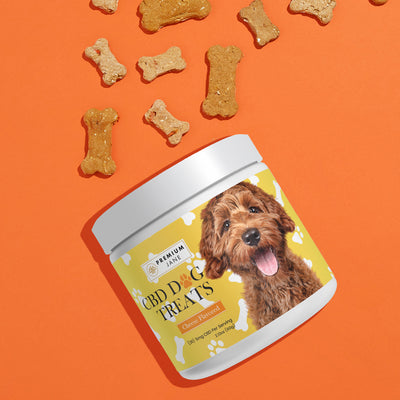 Premium Jane CBD Dog Treats – 150mg (Cheese Flavored) Best Sales Price - Pet CBD