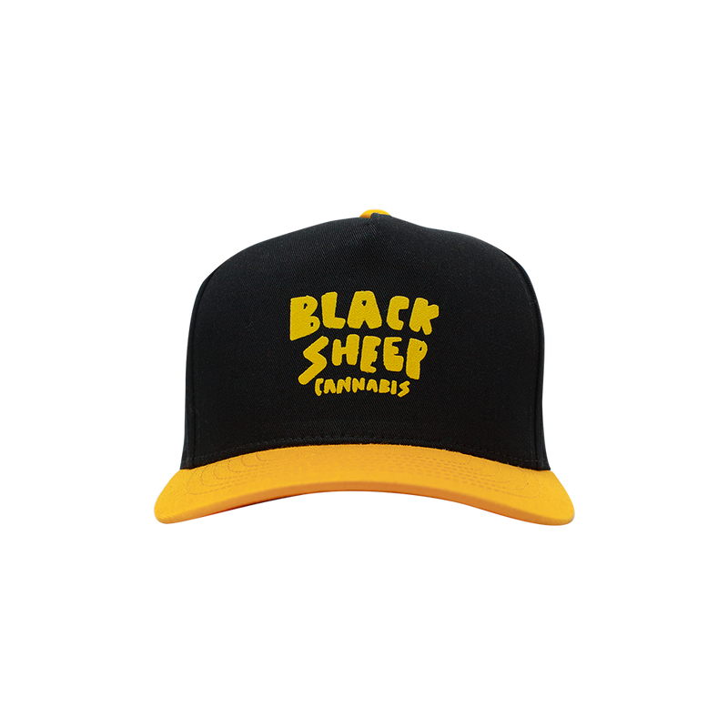 The Hemp Collect BKS Ezra Adjustable Hat Best Sales Price - Accessories