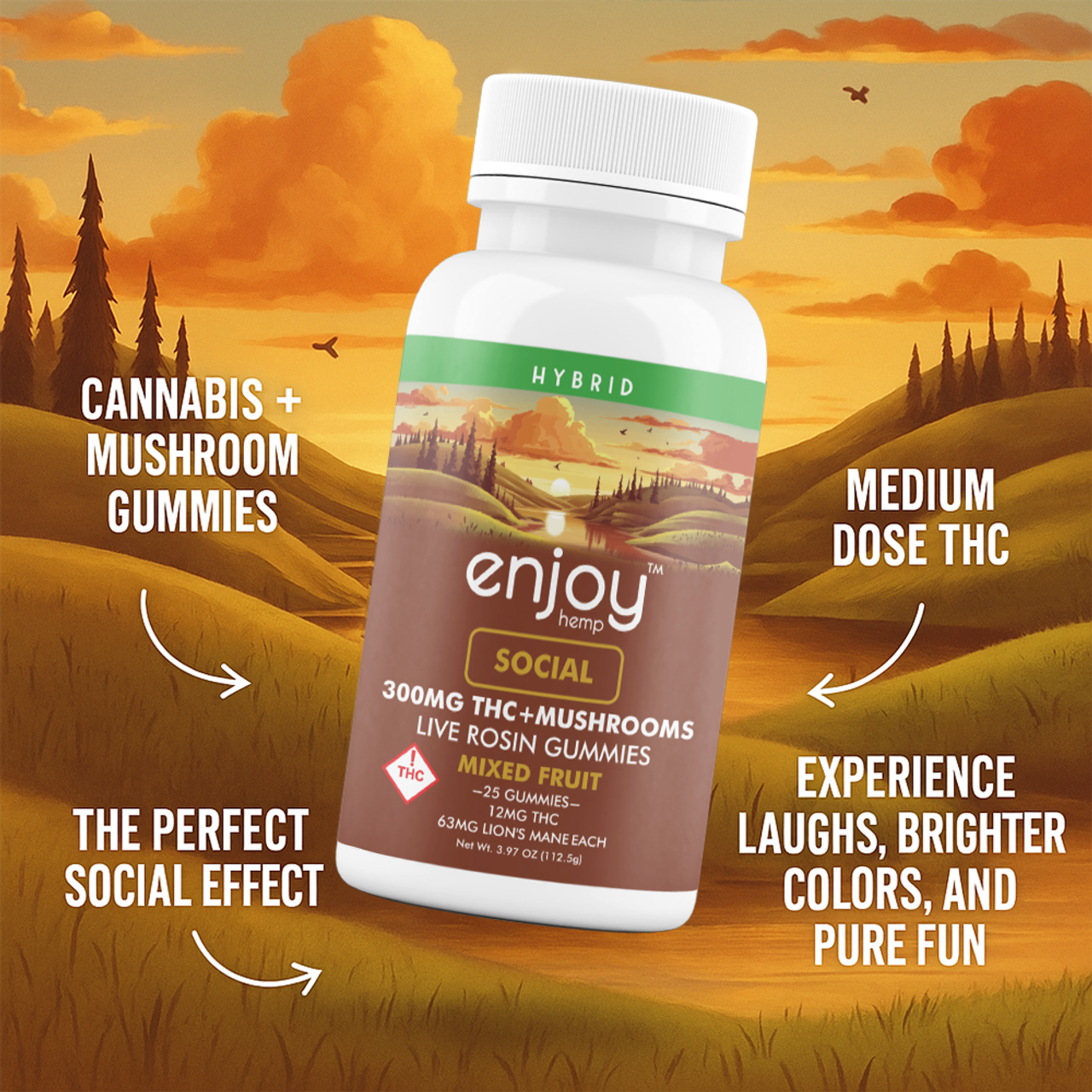 Enjoy Hemp Live Rosin Delta 9 THC + Mushrooms 300mg Gummies for Social (Hybrid) - 25 gummies | 12mg + 63mg Lion's Mane each