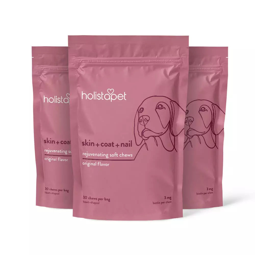 Holistapet Skin, Coat, & Nail Soft Chews for Dogs