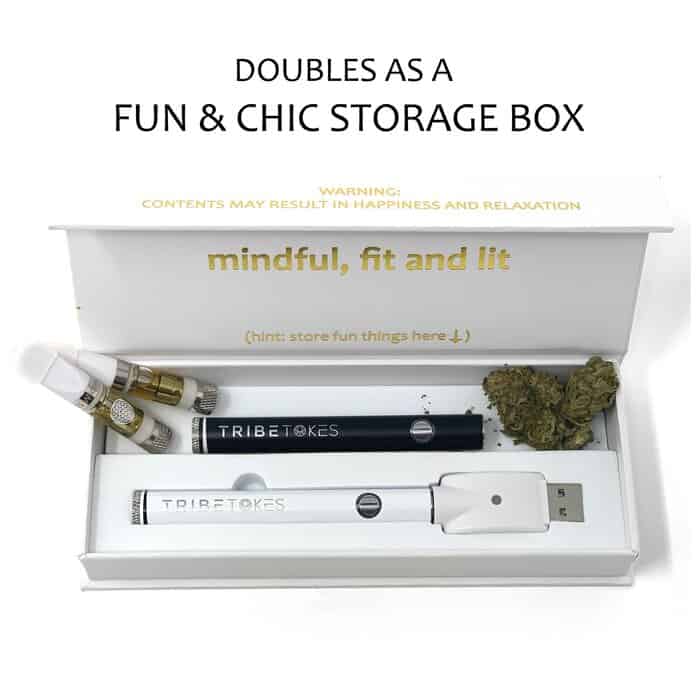 TribeTokes Wand 510-Thread Vape Battery — Pen Style | Storage Box Included