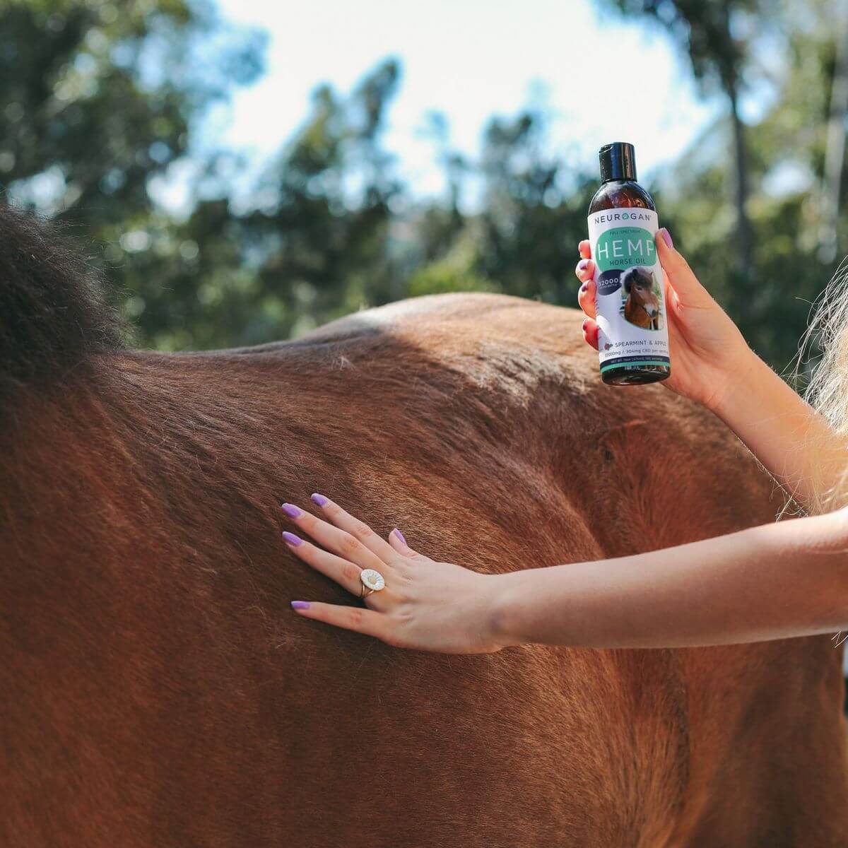 Neurogan CBD Oil For Horses